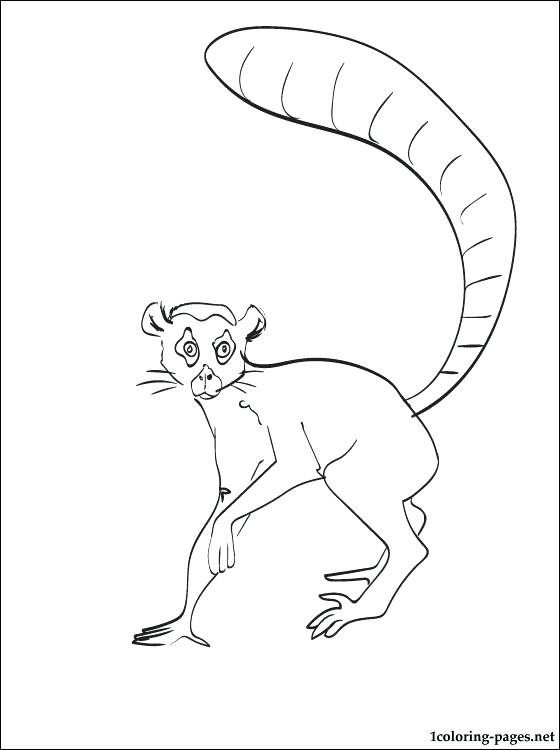560x750 Lemur Coloring Pages