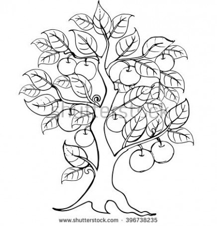 436x455 Hands Drawing Apple Tree Anti Stress Stock V On Tree . @ Just