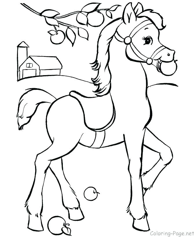 670x820 Horse Head Coloring Page Printable Horse Coloring Pages Baboon