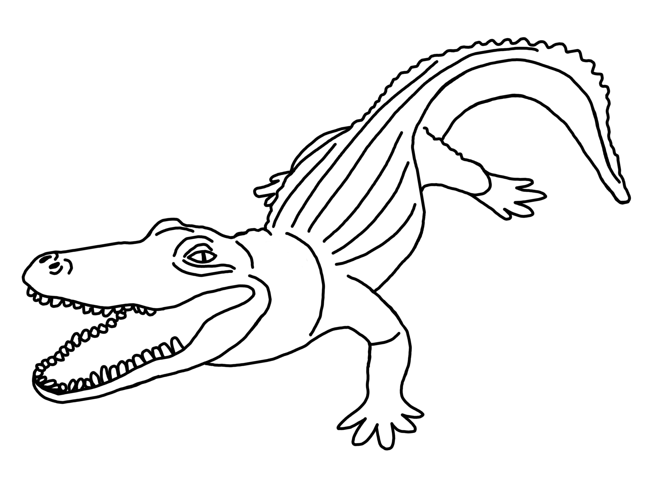 2200x1700 Printable Alligator Coloring Pages Me Within Baby