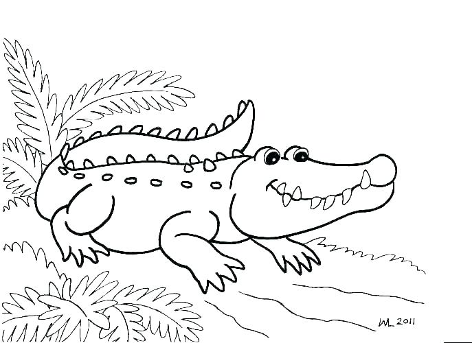 687x500 Alligator Coloring Page Cute Baby Alligator Coloring Pages