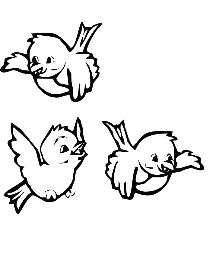 736x920 Cute Baby Animal Coloring Pages To Print E Pics Color Col Fuhrer