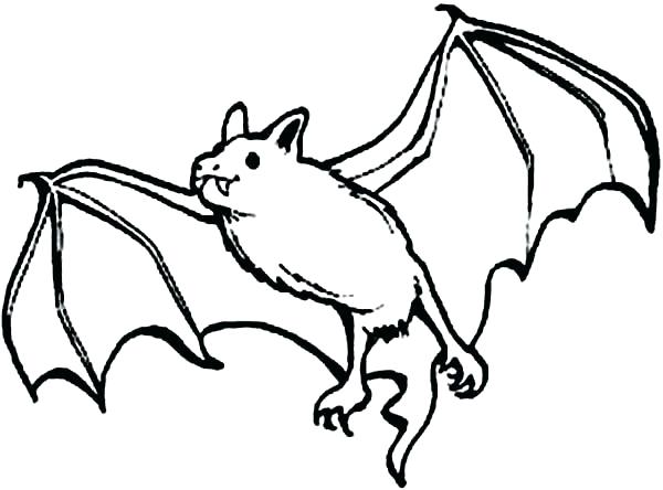 600x444 Bat Coloring Pages X Bat Coloring Page Printable Free Www.masdos
