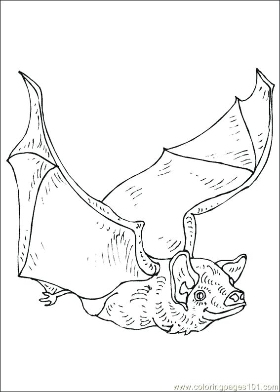 567x794 Cute Baby Bat Coloring Pages Kids Coloring Bats Coloring Pages