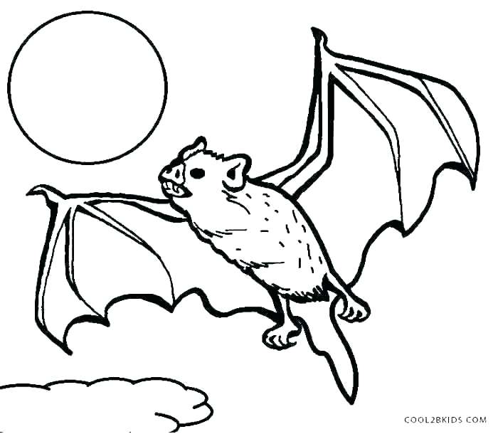 700x610 Bats Coloring Page