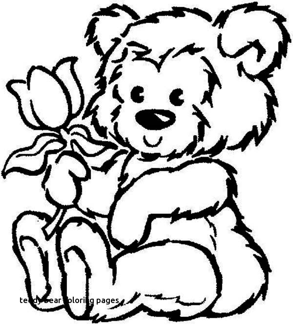 600x666 Teddy Bear Coloring Pages