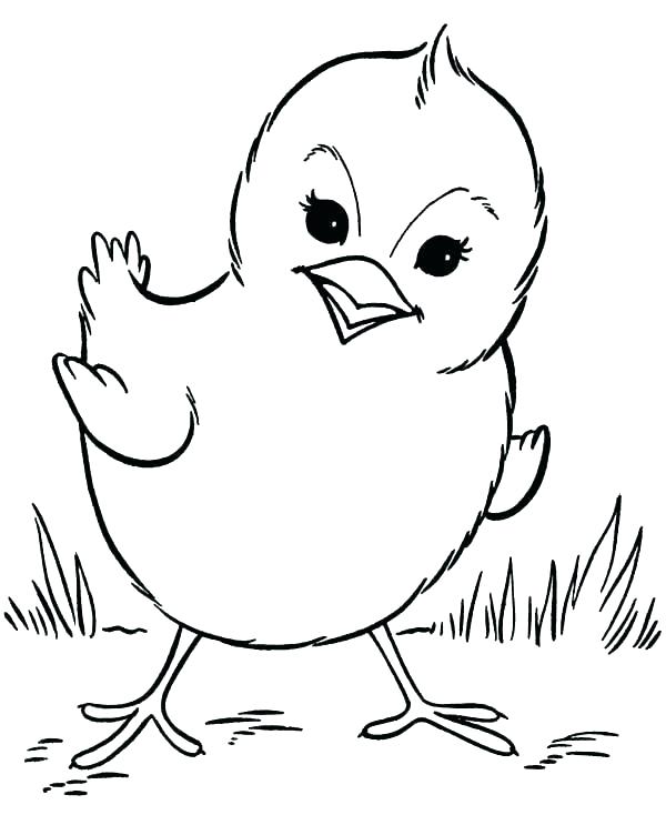 600x734 Manatee Coloring Pages Jasmine Manatee Colouring Pages Baniaczek