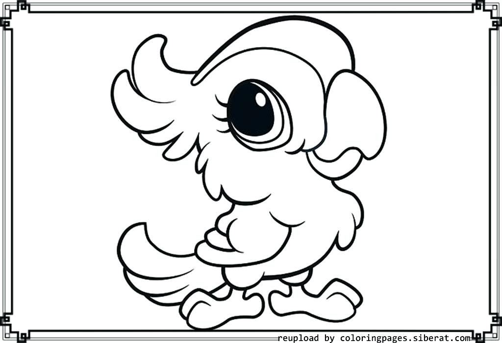 1024x700 Orca Coloring Page Cute Baby Animal Coloring Pages Baby Orca