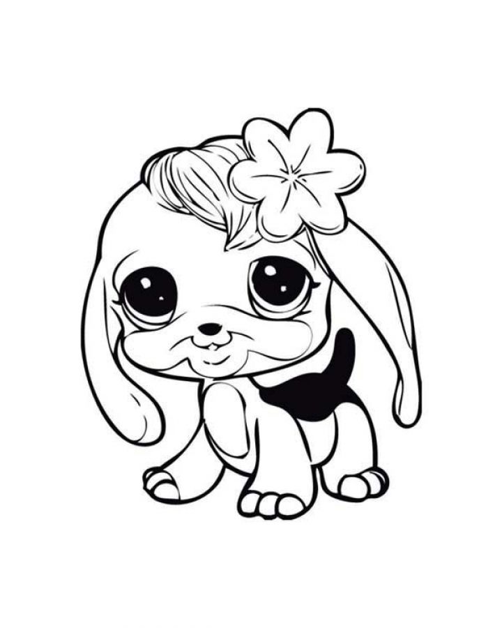 720x900 315 Best Animal Coloring Pages Images On Animal