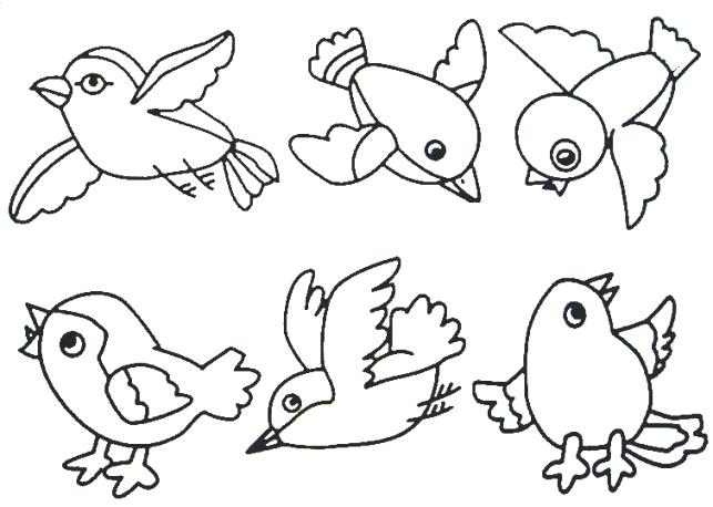 643x458 Baby Bird Colouring Pages Baby Birdies Coloring Page Twisty Noodle