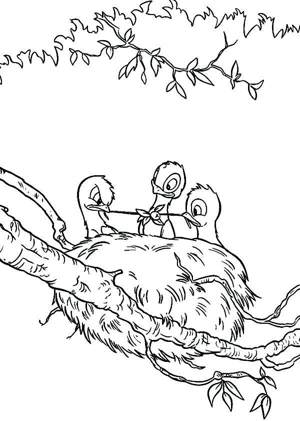 600x841 Baby Bird Coloring Page Baby Bird Eating In Their Bird Nest