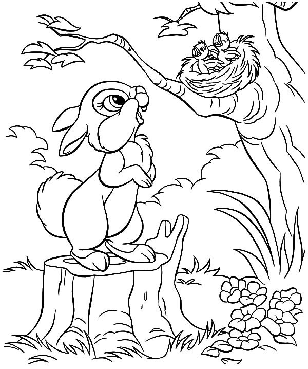 600x718 Little Rabbit Saw Bird Nest And Baby Bird Coloring Pages Best