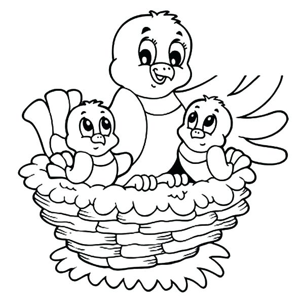 600x607 Baby Bird Coloring Page Birds In Nest Coloring Pages Printable