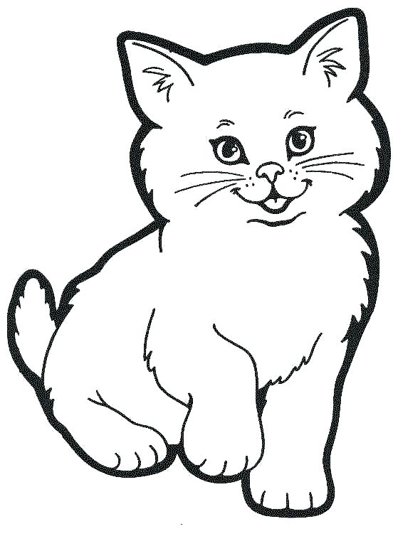552x761 Marvelous Baby Cat Coloring Pages Marvelous Baby Cat Coloring