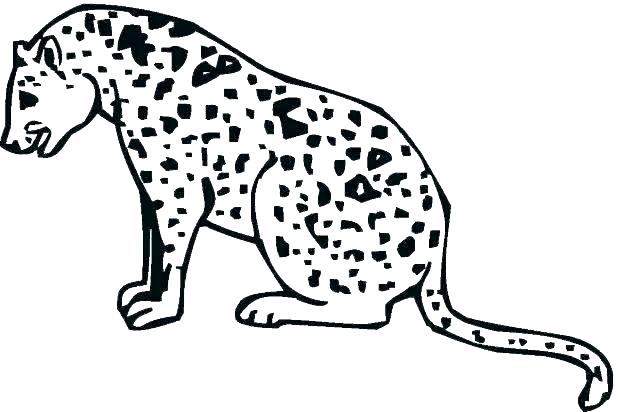 618x412 Cheetah Coloring Page Hunting Cheetah Coloring Pages Cheetah