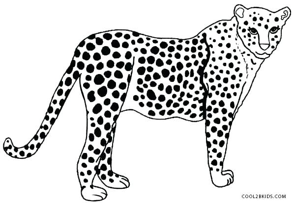 600x414 Coloring Pictures Cheetah Cubs Cute Baby Cheetah Coloring Page