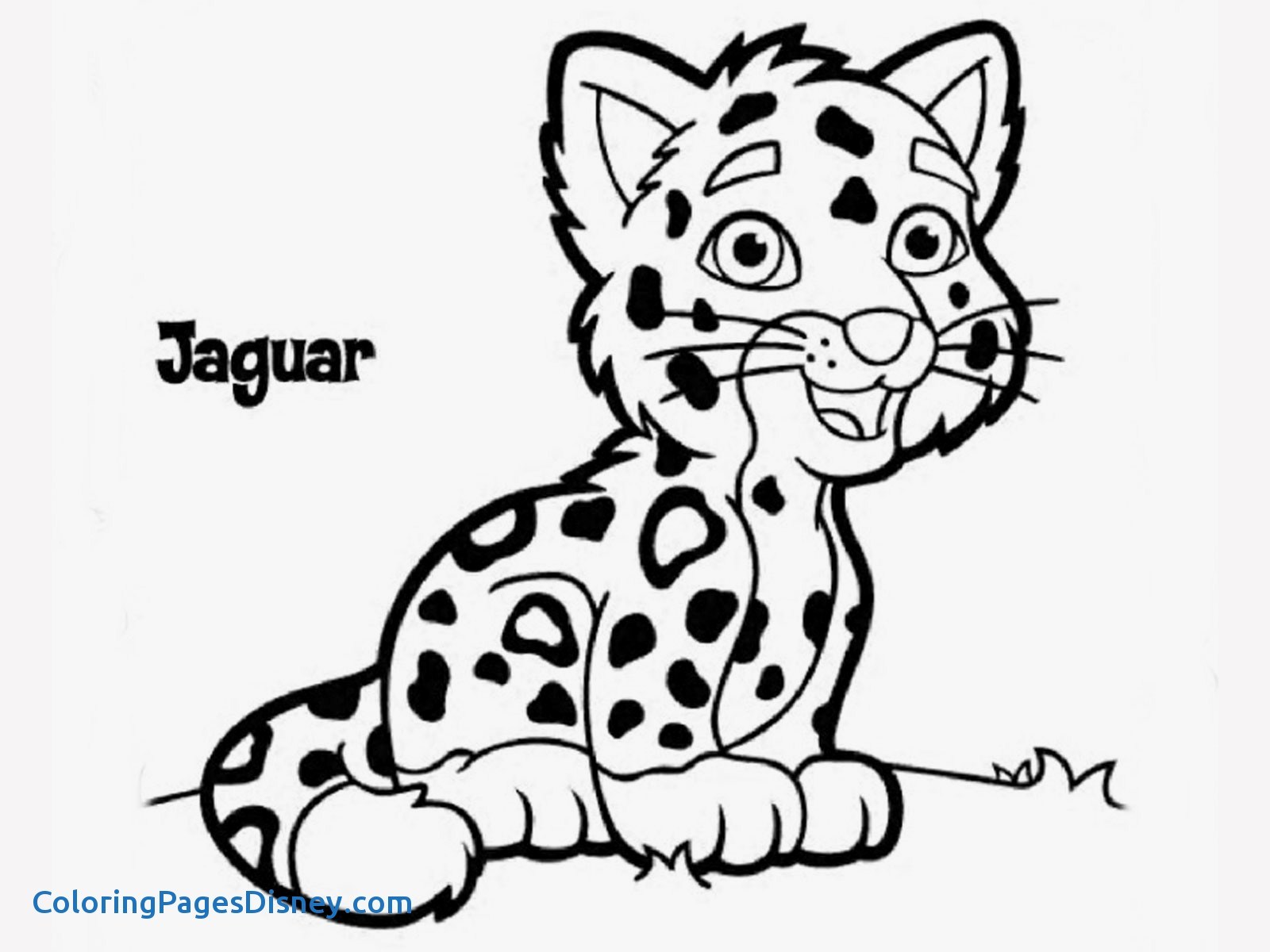 1600x1200 Fresh Cheetah Coloring Pages
