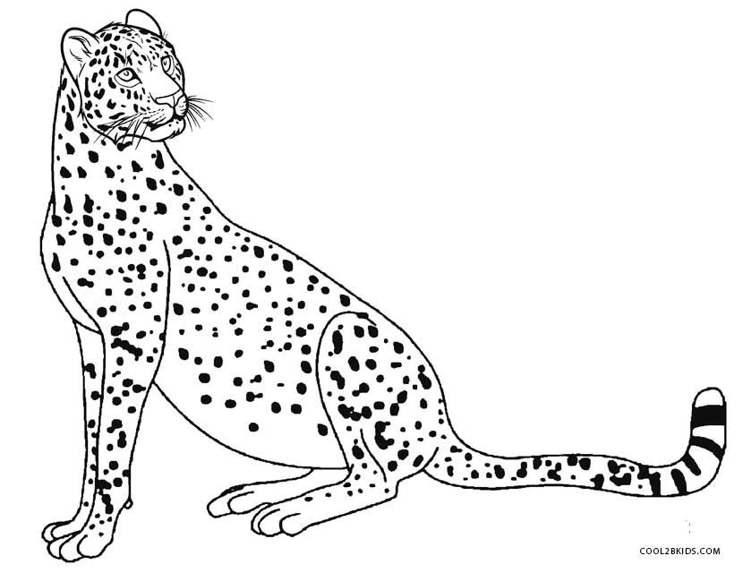830x640 Printable Cheetah Coloring Pages For Kids Cool2bkids