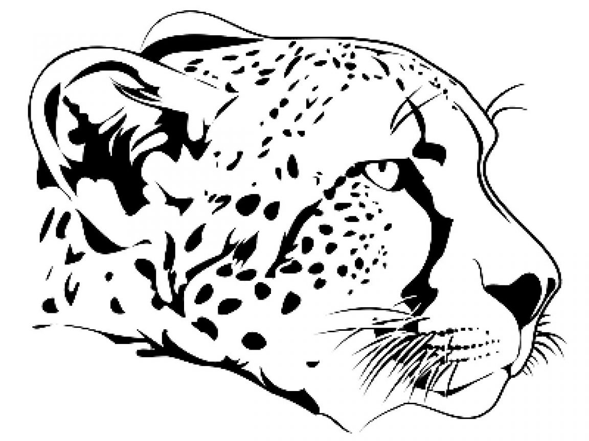 1152x864 Baby Cheetah Coloring Pages Colouring Cute Fantastic For Kids Free
