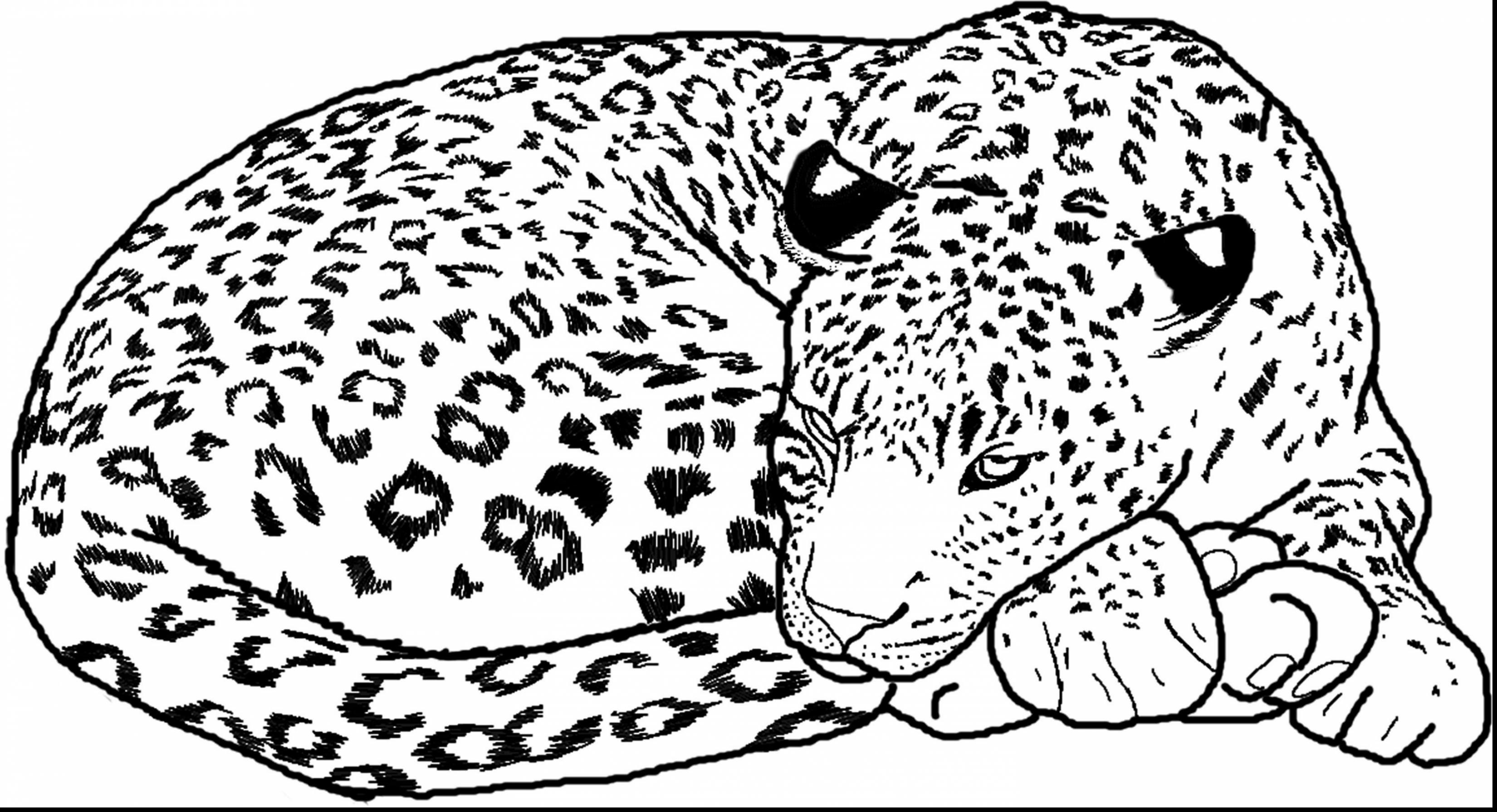 3300x1791 Beautiful Idea Cheetah Coloring Pages For Adults Toddlers Easy