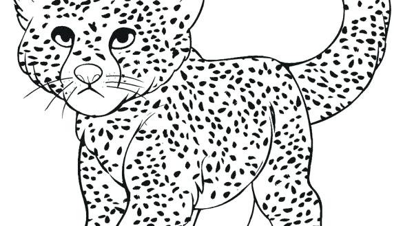 585x329 Cartoon Cheetah Coloring Pages Not Found A Coloring Pages