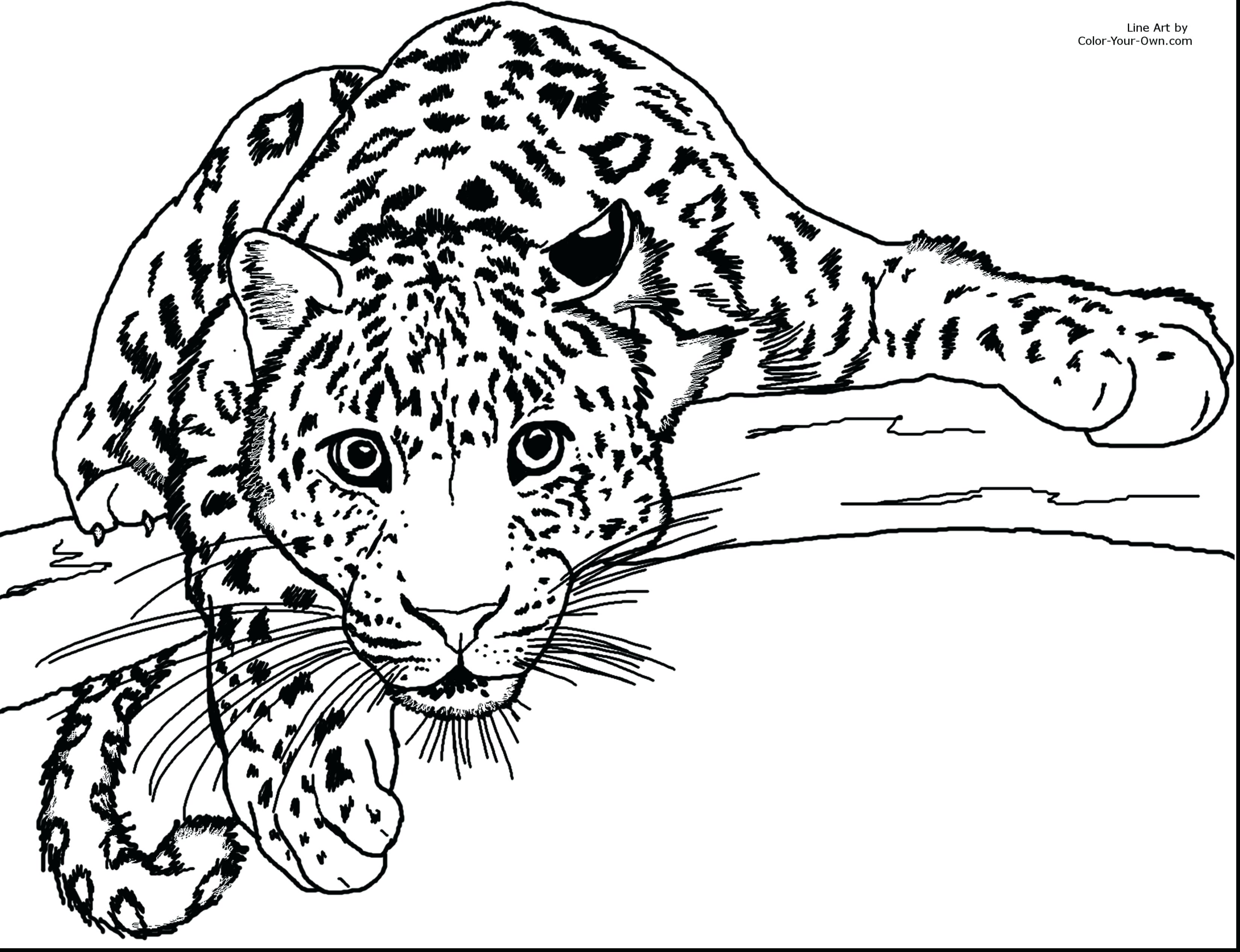 3300x2534 Cheetah Baby Coloring Pages Cute Online Printable And Her Babies