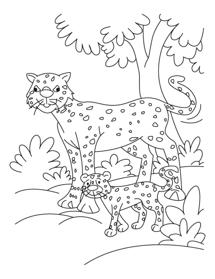741x960 Cheetah Coloring Page Cute Baby Cheetah Coloring Pages Cheetah