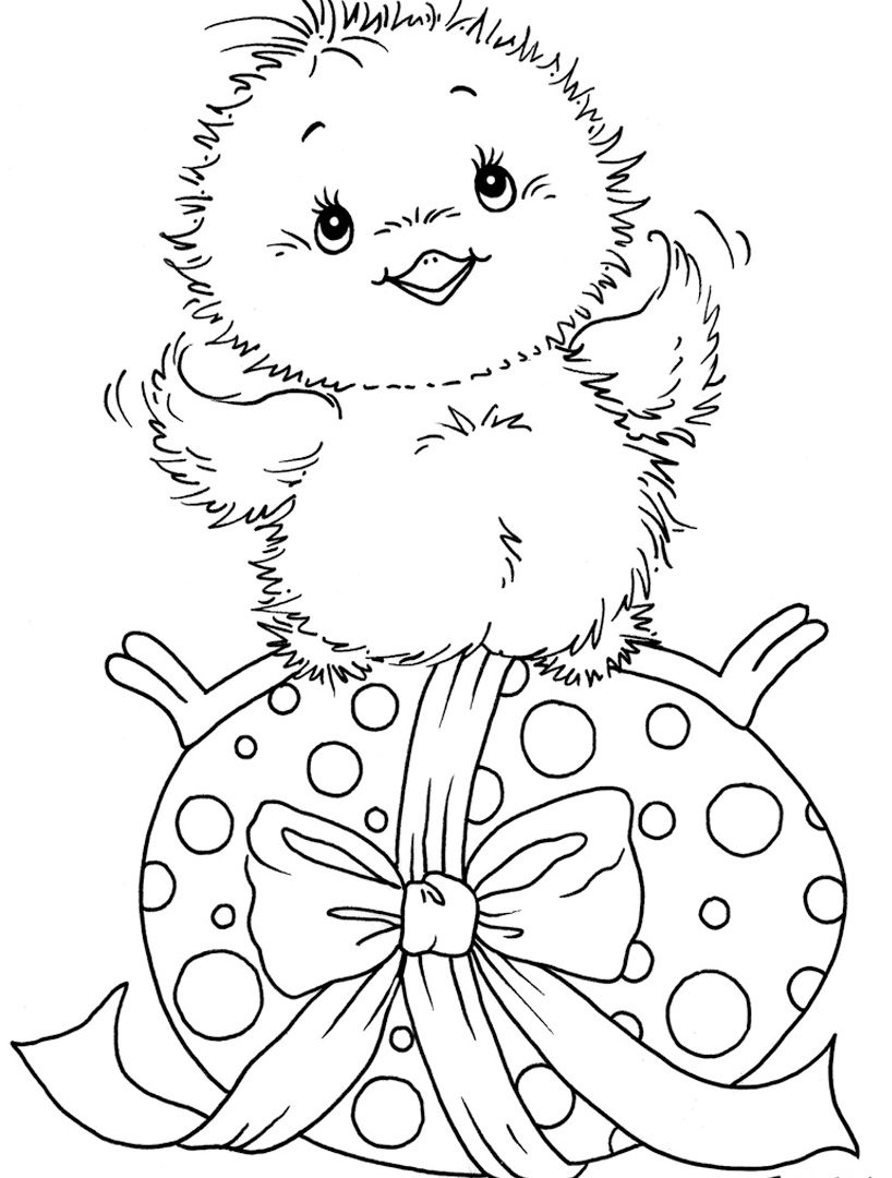 Baby Chick Coloring Pages