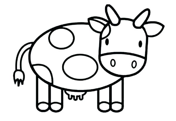 600x412 Coloring Pages Cow Coloring Pages Of Cows How To Draw Cow Coloring