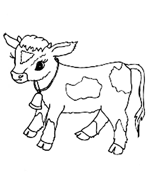 600x777 Baby Cow Coloring Page