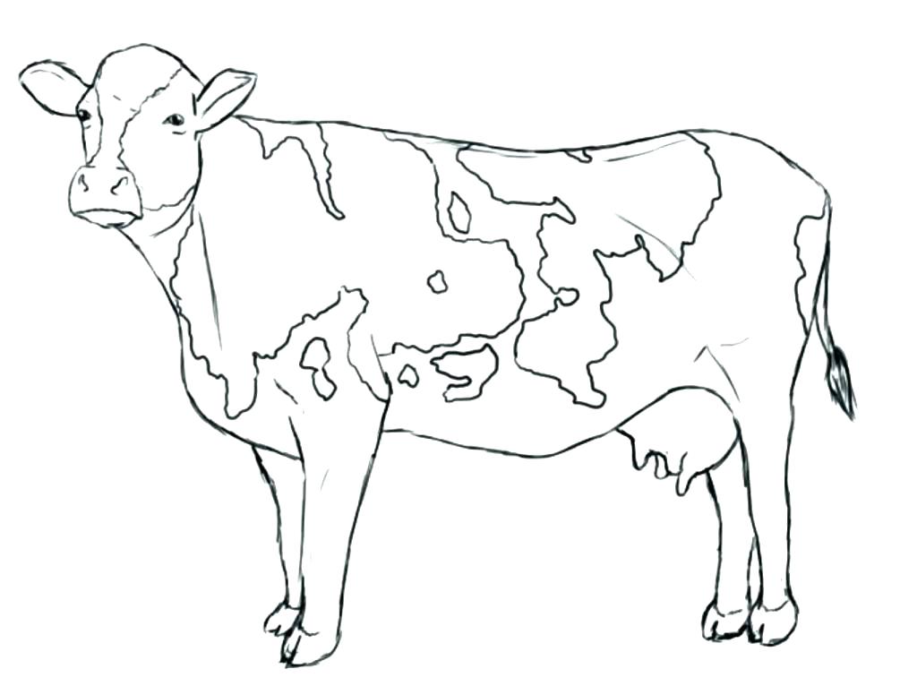 1024x766 Baby Cow Coloring Pages Coloring Pages Of Cows Baby Welcome New