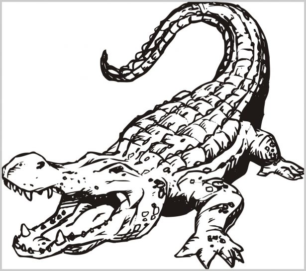 615x545 Baby Crocodile Coloring Pages 311964 Top 76 Crocodile Coloring