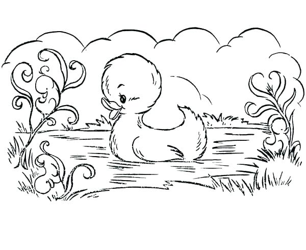 600x490 Baby Duck Coloring Page Baby Duck Coloring Pages Duckling Coloring