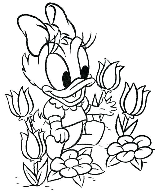 500x619 Baby Daisy Duck Coloring Pages Baby Daisy Duck Coloring Pages