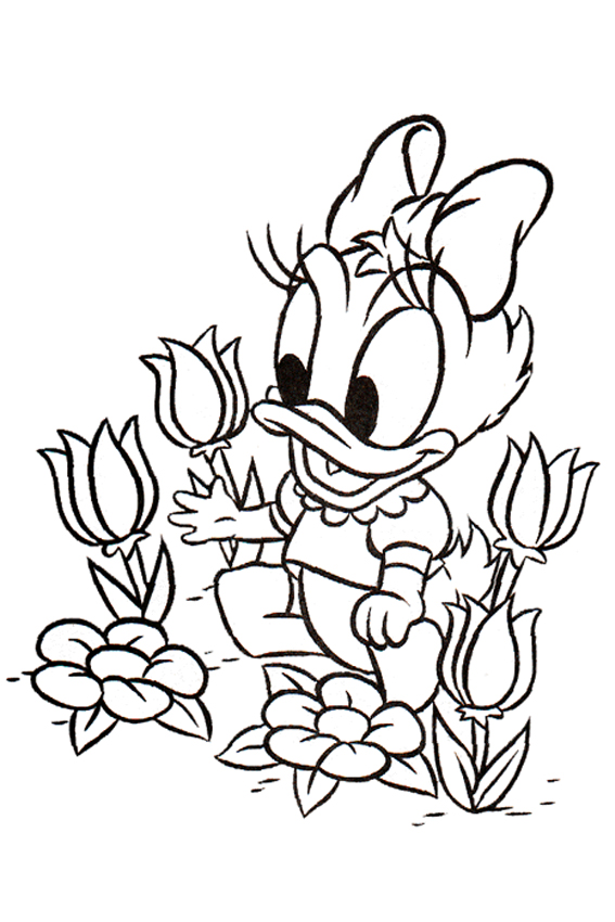 567x850 Daisy Duck Coloring Pages Overview With Cool Daisy Sheets