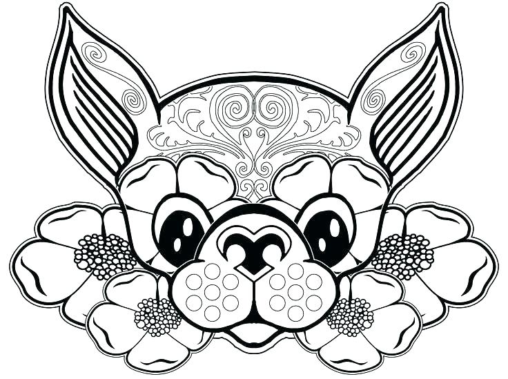 736x549 Chihuahua Coloring Pages Sombrero Ng Sheet Chihuahua Ng Page Free