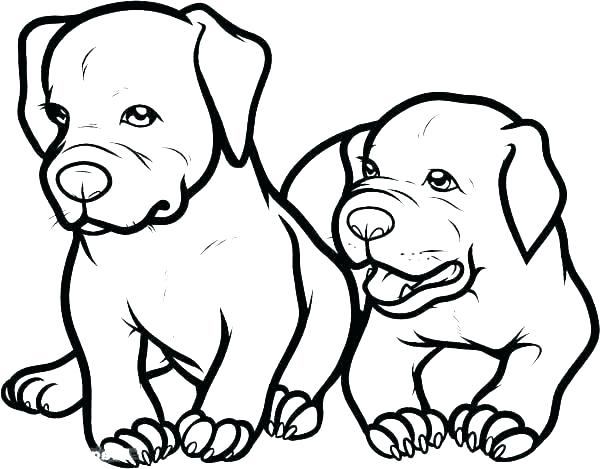 600x469 Baby Dog Coloring Pages Baby Dog Coloring Pages Inspirational Cute