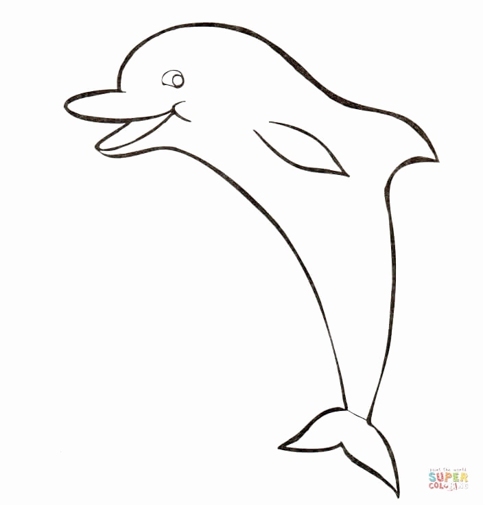 Baby Dolphin Coloring Pages