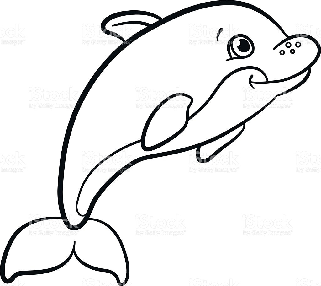 1024x911 Cute Baby Dolphin Coloring Pages Learnfree Me And Tixac