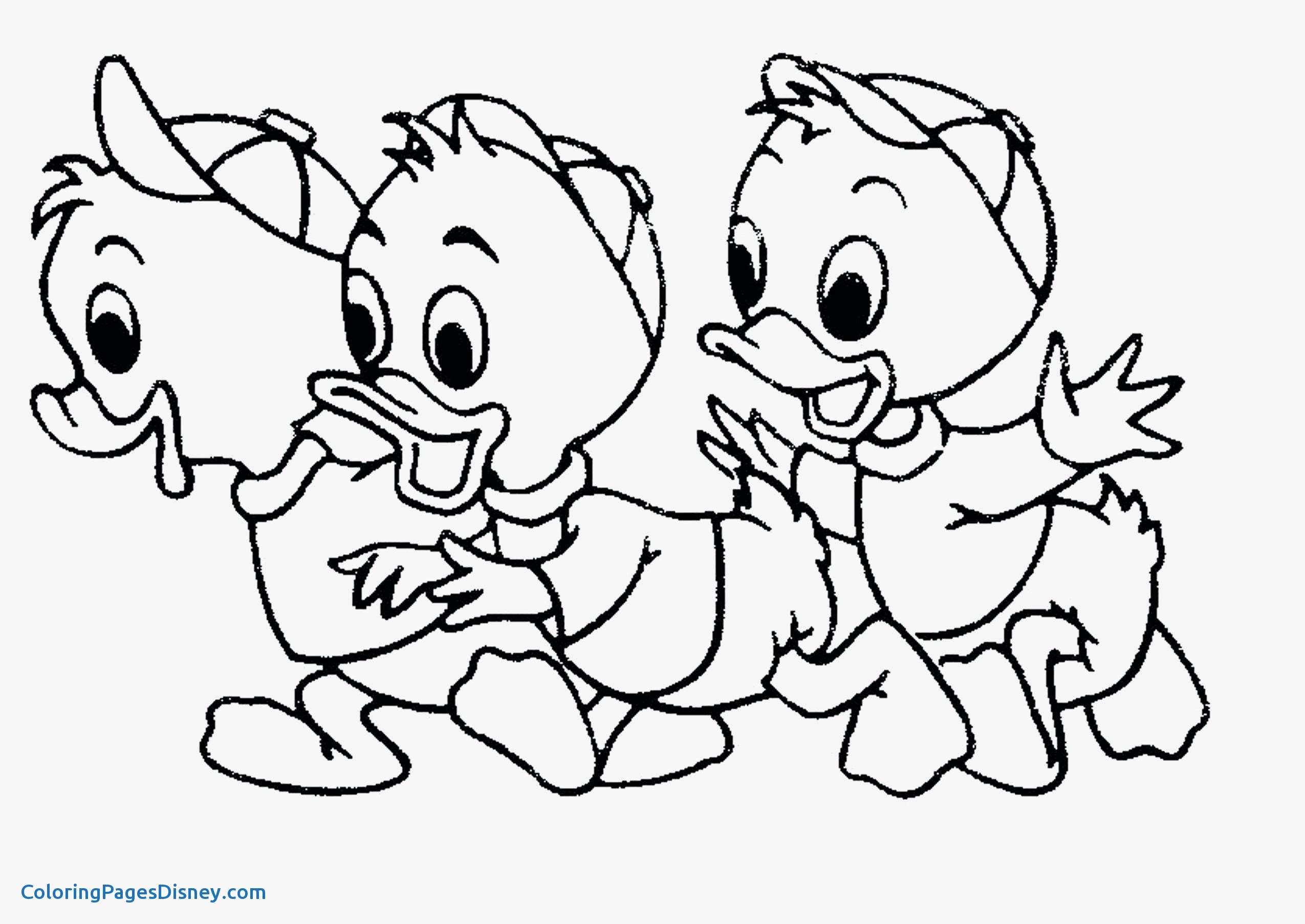 2550x1807 Donald Duck Coloring Pages Best Of Mother Duck And Her Babies