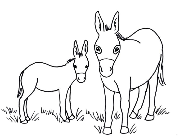 760x584 Donkey Coloring Page Donkey Coloring Page Baby Donkey Kong