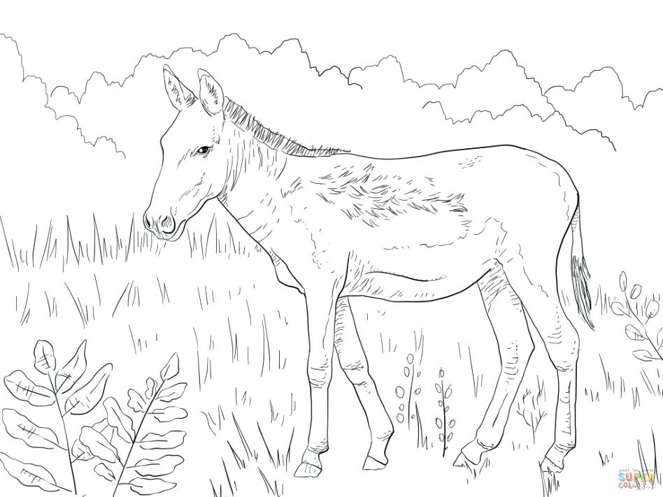 948x711 Donkey Coloring Pages Baby Ride Donkey Coloring Pages Donkey