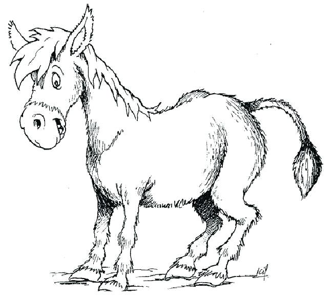 650x582 Donkey Kong Coloring Pages To Print Baby Donkey Coloring Pages
