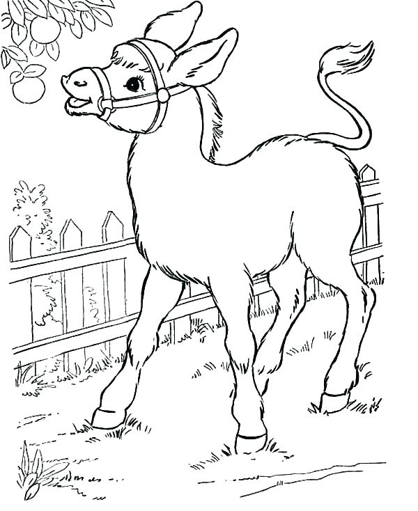 600x734 Coloring Donkey Donkey Pictures To Color Donkey Coloring Pages
