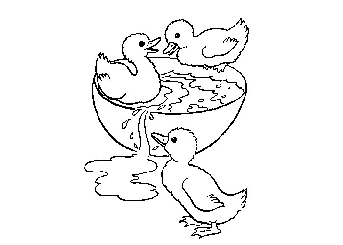700x500 Ducks Coloring Pages To Download And Print For Free