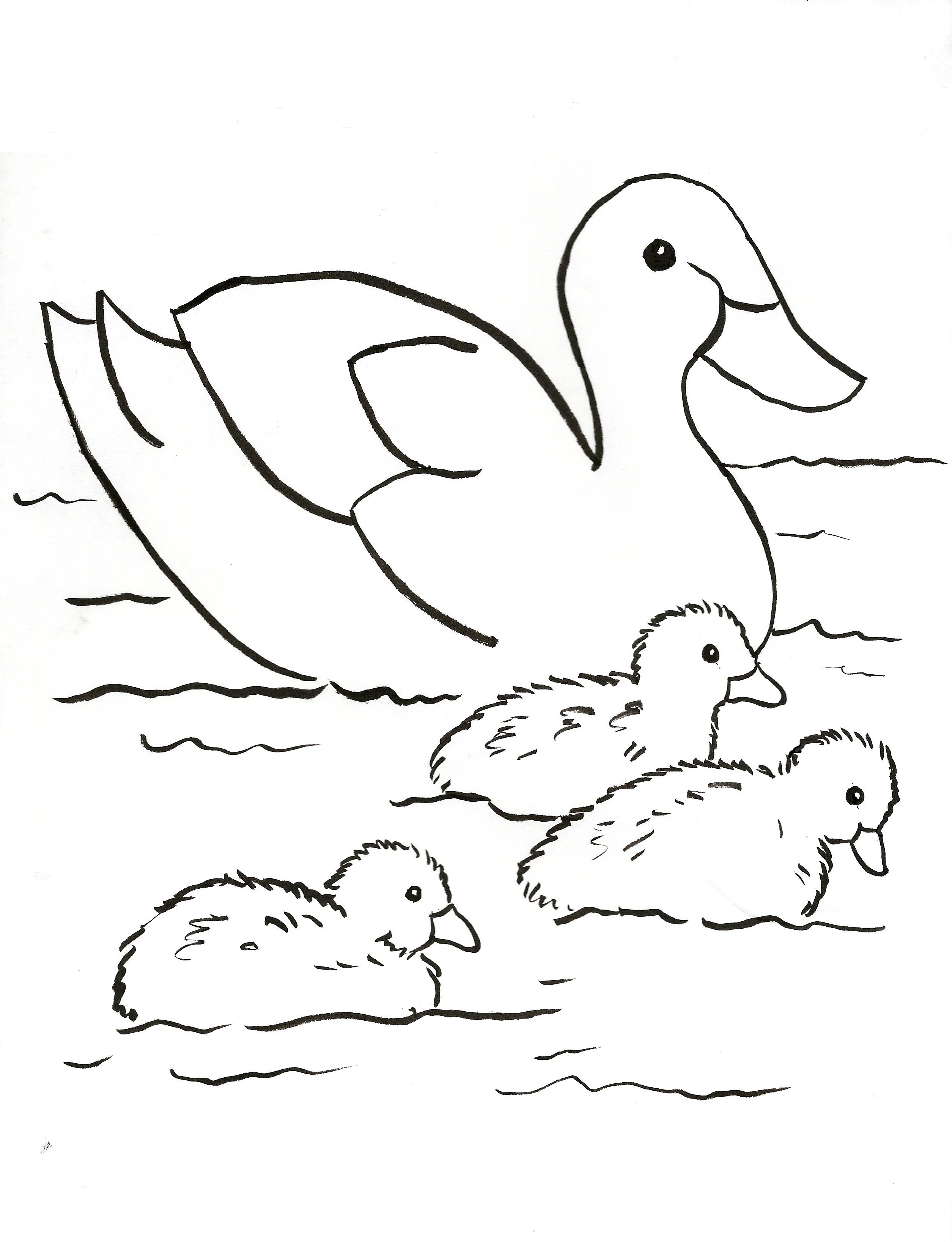 Baby Duckling Coloring Pages