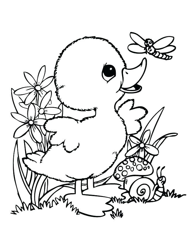 670x867 Winsome Duck Coloring Page Printable For Pretty Duck Coloring Page