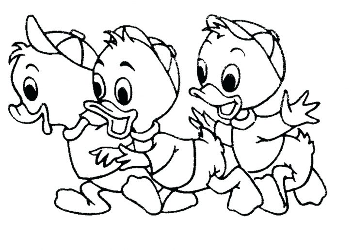 728x516 Baby Duck Is A Duckling Coloring Page Pages Online Printable