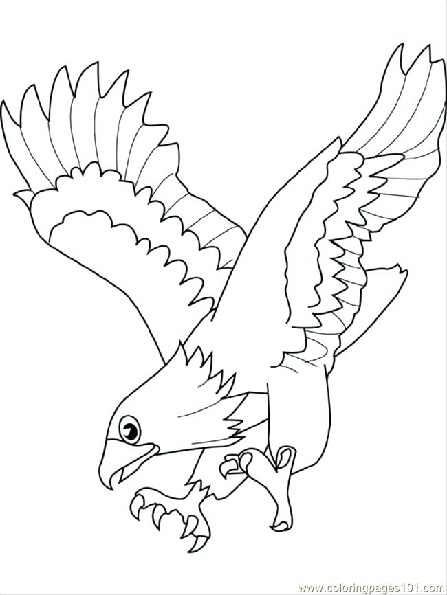 650x866 Eagle Coloring Eagle4 Coloring Page Baby Eagle Coloring Pictures