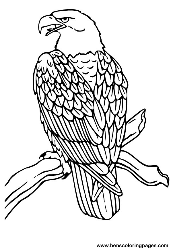 596x873 Eagle Coloring Pages